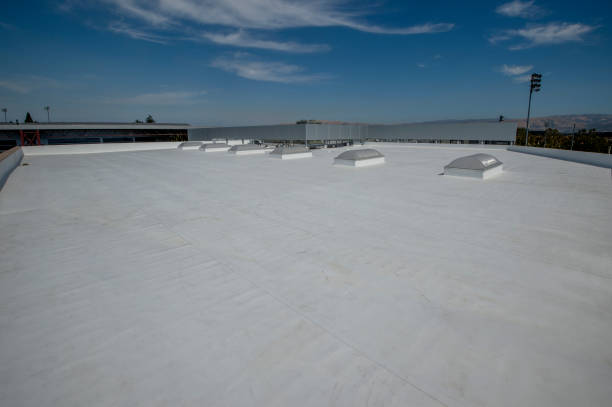Best Gutter Installation and Repair  in Picture Rocks, AZ