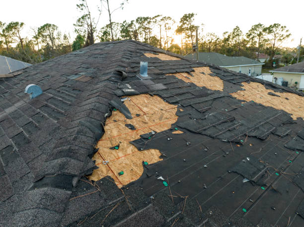 Best Roof Moss and Algae Removal  in Picture Rocks, AZ